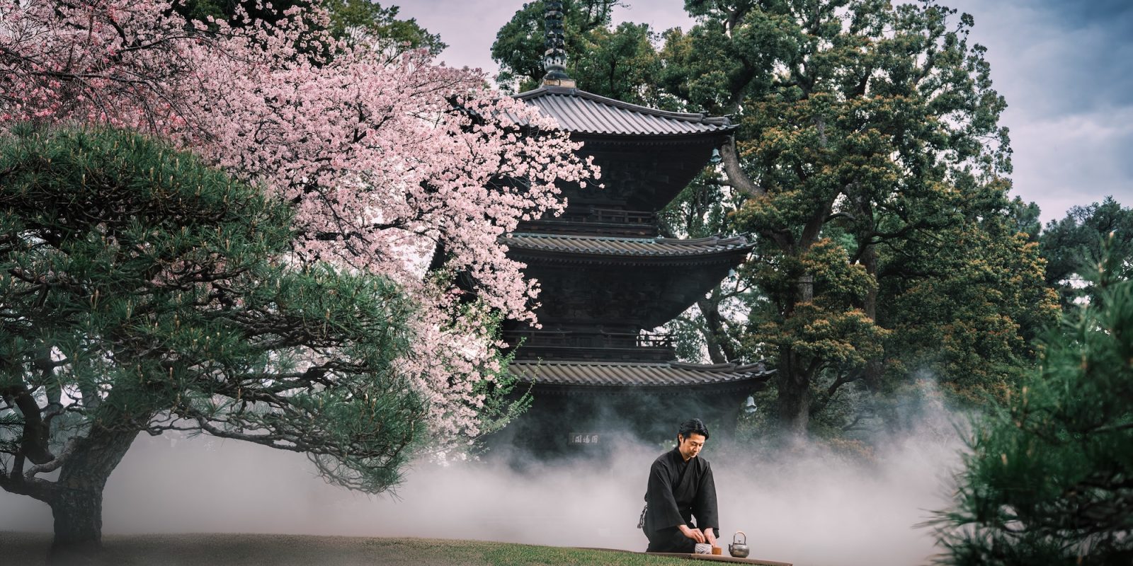 Mindful MITATE Tea Ceremony Comes to Hotel Chinzanso Tokyo’s Japanese Garden: A Tranquil Tea Experience