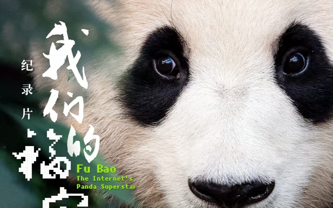 Chinese Ambassador to Indonesia Reposts Panda Cub Rio’s New Year Greeting